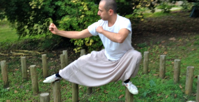 Taiji Quan